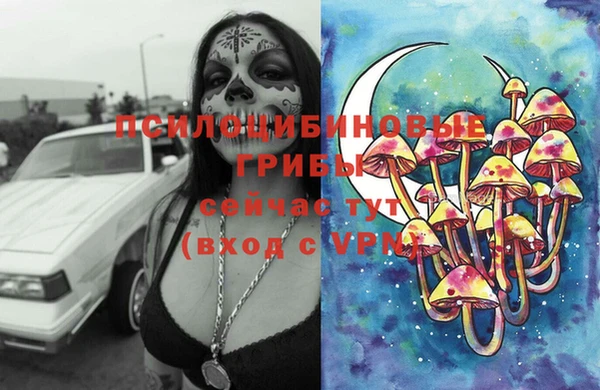 индика Ростов