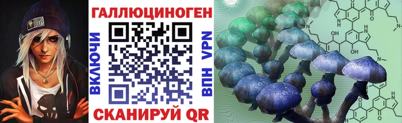 Галлюциногенные грибы Psilocybine cubensis  Скопин 